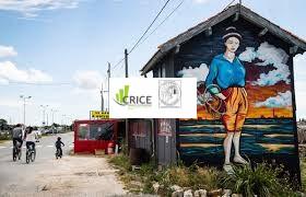 MURS COMMERCIAUX LOUES