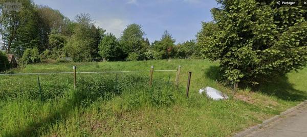 Achat - Terrain à bâtir | Terrain à bâtir Wamin 62770 1176 m 2 1176 m 2