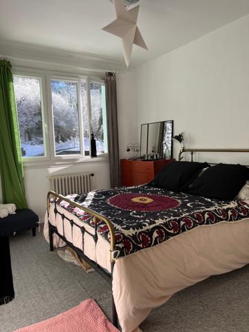 Couflens (09140) Bel appartement T3.