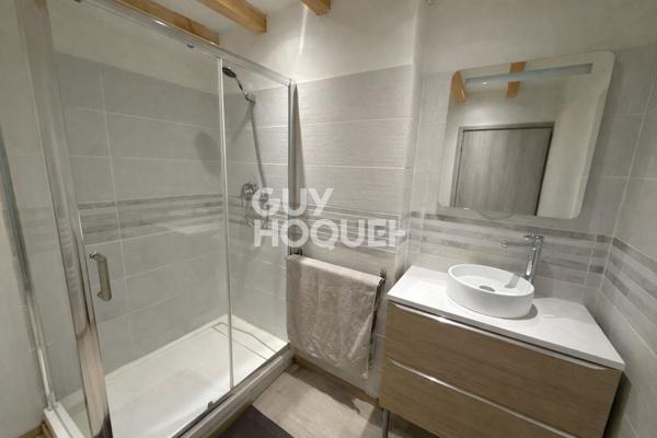 OPPORTUNITÉ INVESTISSEUR - Ensemble immobilier de 2 appartements rénovés à La Boisse (01120)