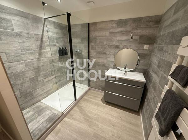 OPPORTUNITÉ INVESTISSEUR - Ensemble immobilier de 2 appartements rénovés à La Boisse (01120)