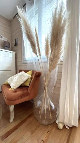 Spacieux T3 lumineux, à deux pas du lac et centre ville.