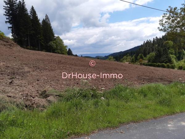 Terrain à vendre de 1 453 m²