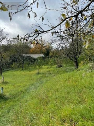 Maison à vendre à Jonchery-sur-Vesle dans la Marne (51140), ref : 51066-1865