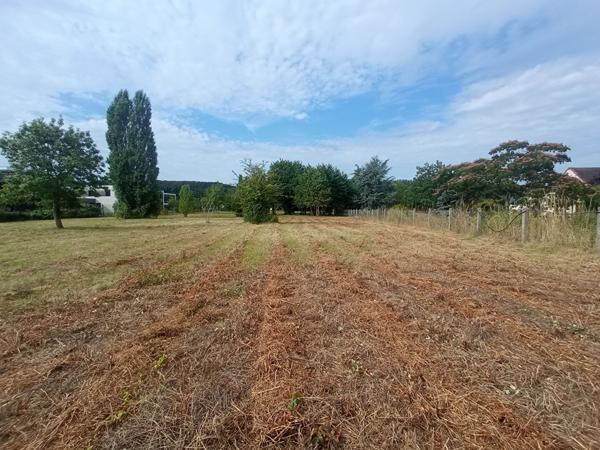 Terrain 1450 m2