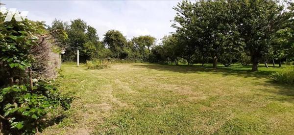 SIOUVILLE-HAGUE MAISON AVEC EXTENSION HABITABLE + 2 GARAGES + JARDIN ARBORE