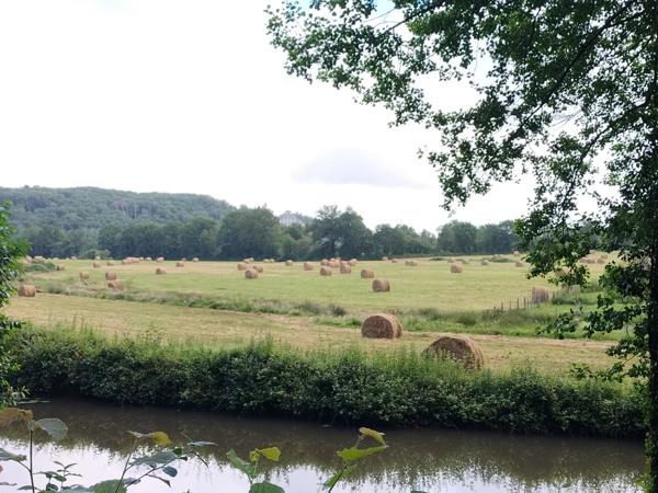 Terrain de loisir