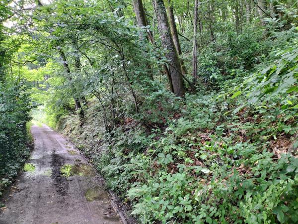 Terrain de loisir