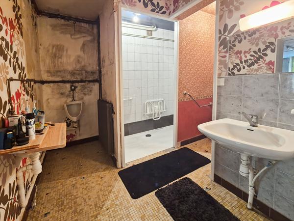 Ensemble immobilier avec terrain constructible et dépendances