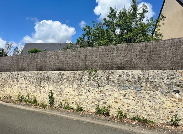 Terrain Tierce en exclusvité