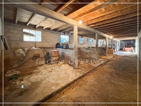 Propriete à vendre 14 pièces LE HOUGA (32) de 215 m2 habitables à rénover, sur 11949 m2 de terrain, dépendances