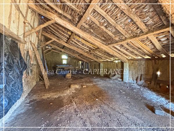 Propriete à vendre 14 pièces LE HOUGA (32) de 215 m2 habitables à rénover, sur 11949 m2 de terrain, dépendances