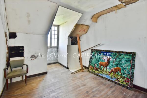 Propriete à vendre 14 pièces LE HOUGA (32) de 215 m2 habitables à rénover, sur 11949 m2 de terrain, dépendances