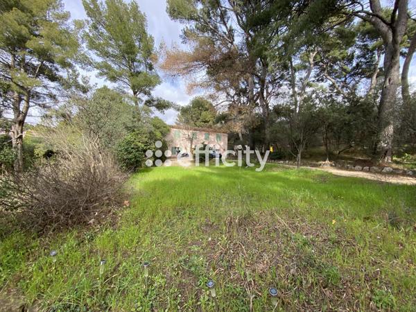 Terrain - 5261 m²