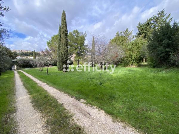 Terrain - 5261 m²