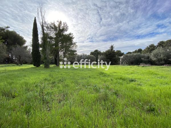 Terrain - 5261 m²