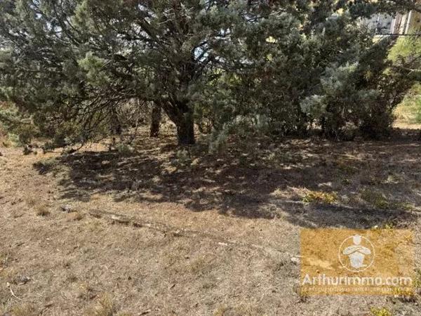 Vente                                                      Terrain
                        
                                         1342 m2                     à Millau