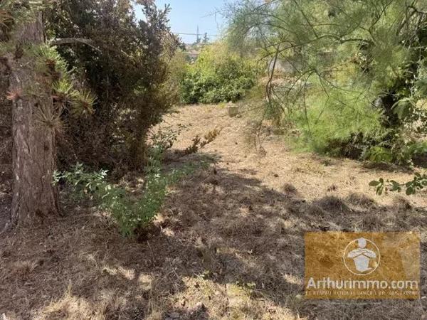 Vente                                                      Terrain
                        
                                         1342 m2                     à Millau