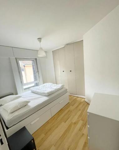 Appartement à louer à Metz (57000)