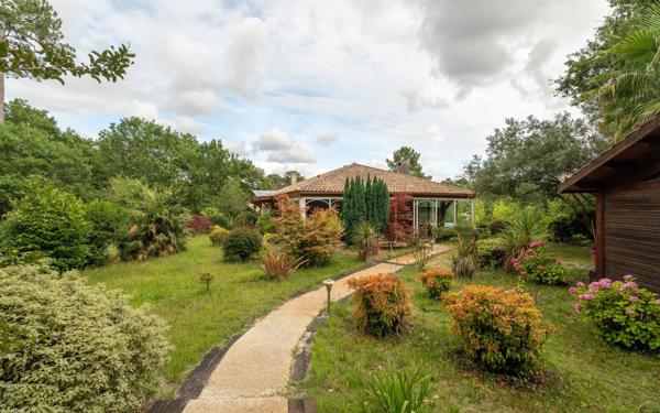 Maison à vendre    6 pièces •  Biscarrosse