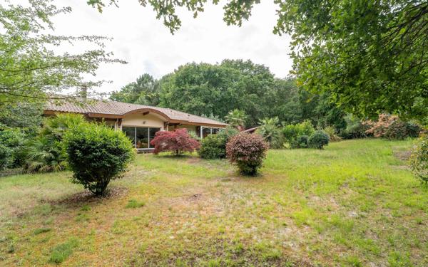 Maison à vendre    6 pièces •  Biscarrosse