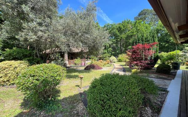 Maison à vendre    6 pièces •  Biscarrosse