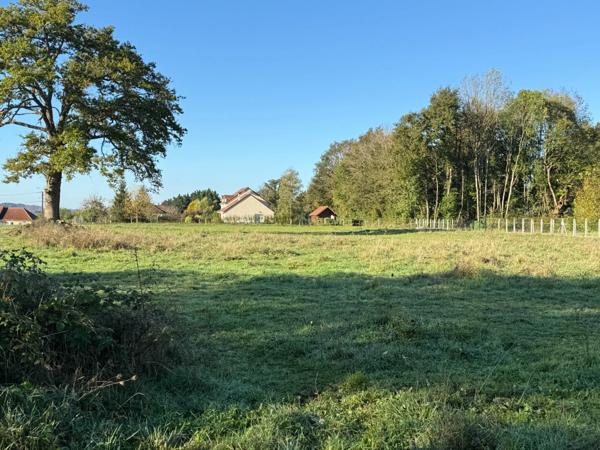Terrain constructible de 2500m² 25 000 €