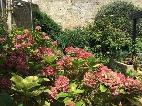 Maison de caractere Rochefort centre ville 5 chambres, jardin sans vis a vis