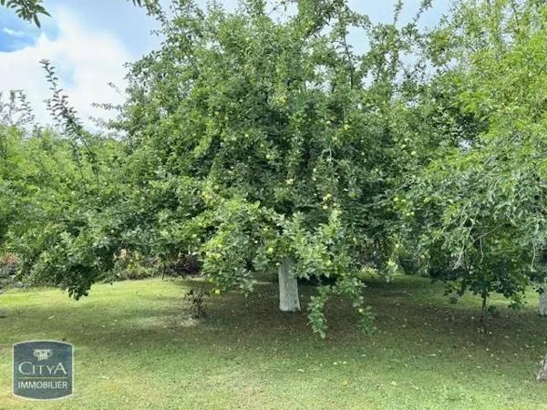 Terrain à vendre 1160m²