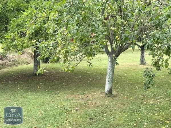 Terrain à vendre 1160m²