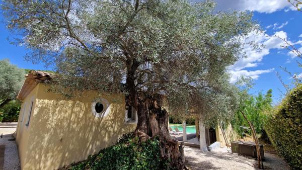 Villa d'architecte de 221m2  sur 2229m2 de terrain avec piscine et pool house.