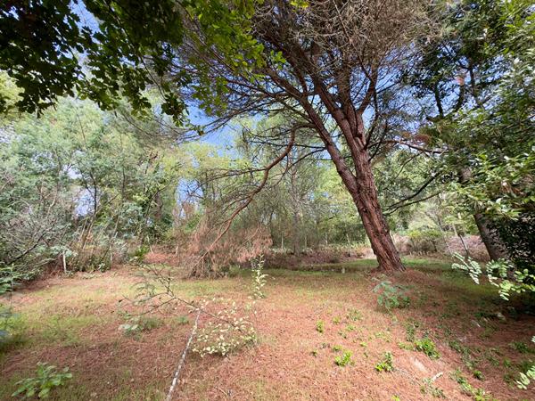 Maison 4 pièces