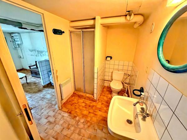 LUCON (85400) - CENTRE IMMEDIAT - MAISON FAMILIALE 3/4 CHAMBRES AVEC PISCINE ET SPACIEUSES DEPENDANCES