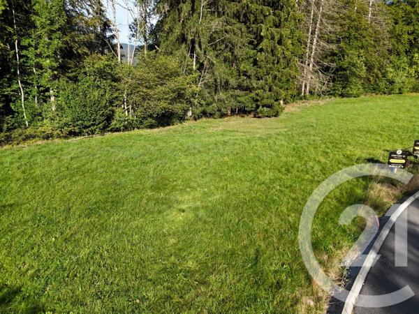 Terrain à vendre  745 m 2   MONTRIOND  - 74
