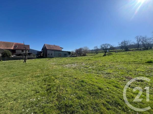 Terrain à vendre  745 m 2   MONTRIOND  - 74