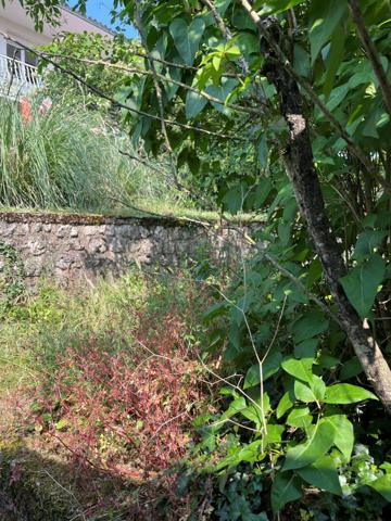 Appartement POITIERS 65 m² axe CENTRE VILLE / FACS