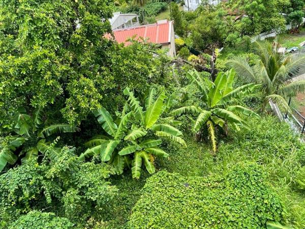 Dpt Martinique (972), à vendre LE ROBERT maison type T4 de 90,37 m² sur Terrain de 613,00 m²