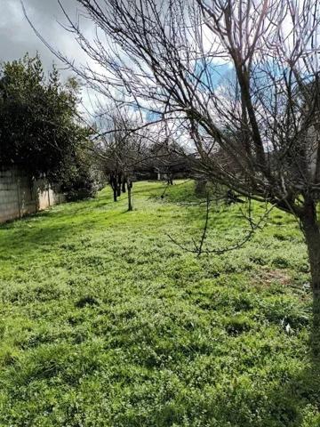 Vente Terrain 785 m2 à Cunac