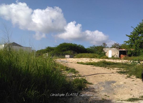 Terrain à vendre SAINT FRANCOIS (971)