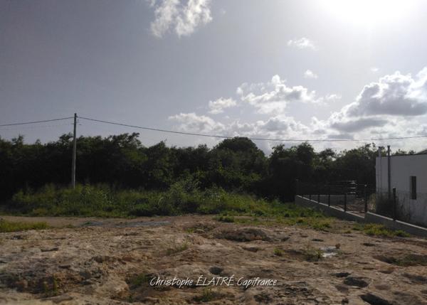 Terrain à vendre SAINT FRANCOIS (971)