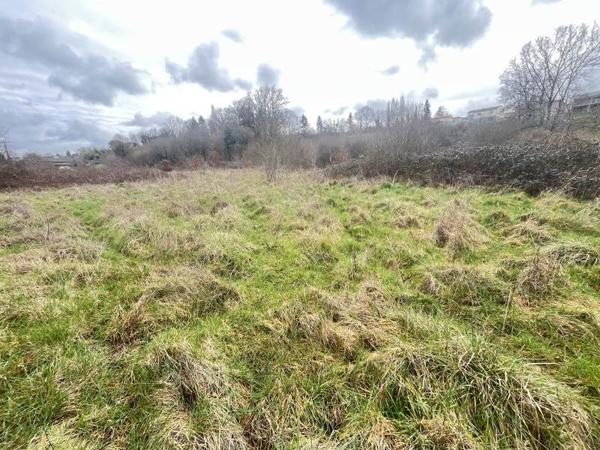 Terrain à vendre |  Aixe-sur-Vienne |  25582 m²