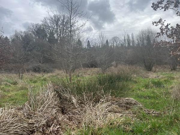 Terrain à vendre |  Aixe-sur-Vienne |  25582 m²