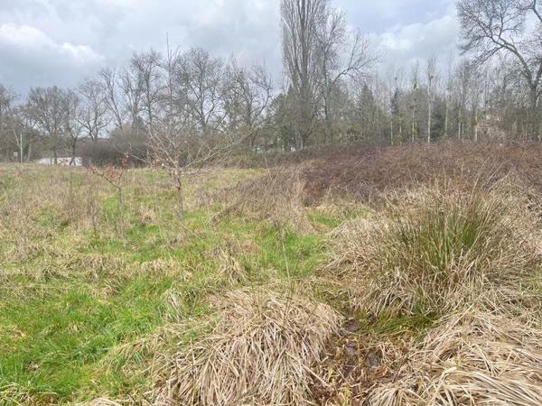 Terrain à vendre |  Aixe-sur-Vienne |  25582 m²