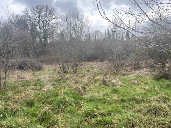 Terrain à vendre |  Aixe-sur-Vienne |  25582 m²