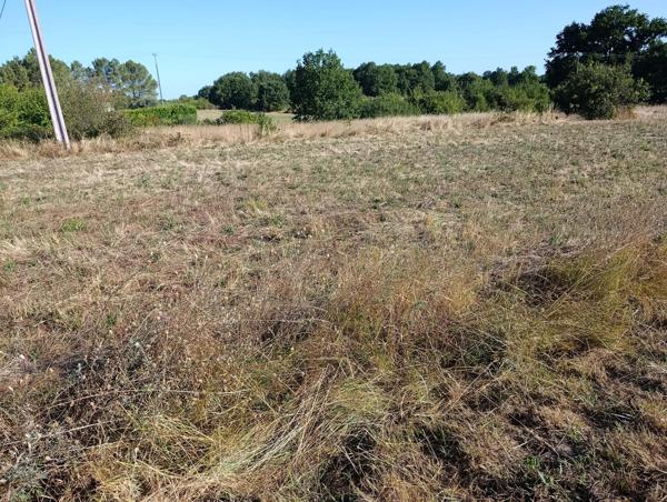 Ferme à reconstruire, environnement exceptionnel !