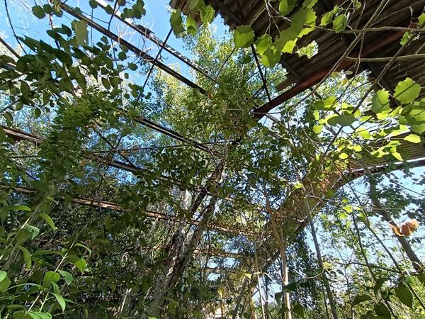 Ferme à reconstruire, environnement exceptionnel !