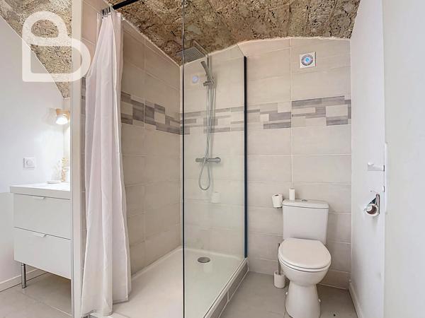 Puy-l'Évêque (46700) Domaine enchanteur avec maison de charme,3 gîtes et piscine sur 8ha