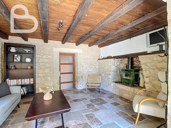 Puy-l'Évêque (46700) Domaine enchanteur avec maison de charme,3 gîtes et piscine sur 8ha