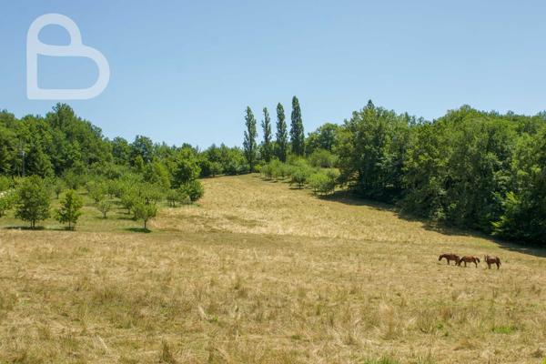 Puy-l'Évêque (46700) Domaine enchanteur avec maison de charme,3 gîtes et piscine sur 8ha