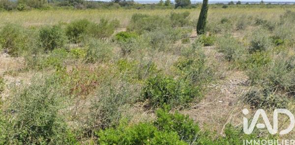 Terrain à vendre 3 510 m² La Palme